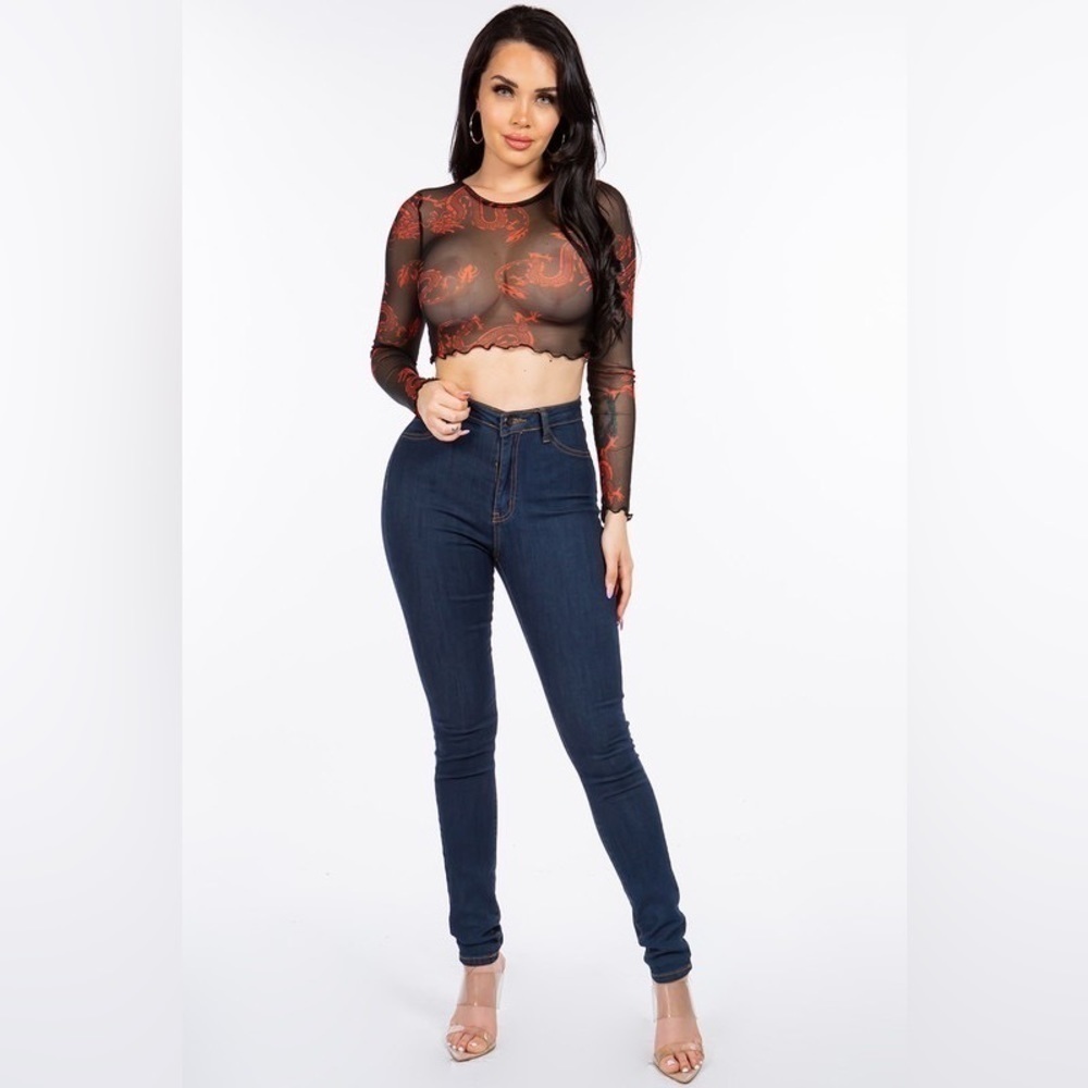 Bear Dance Long Sleeve Round Neck Dragon Printed Mesh Crop Top
